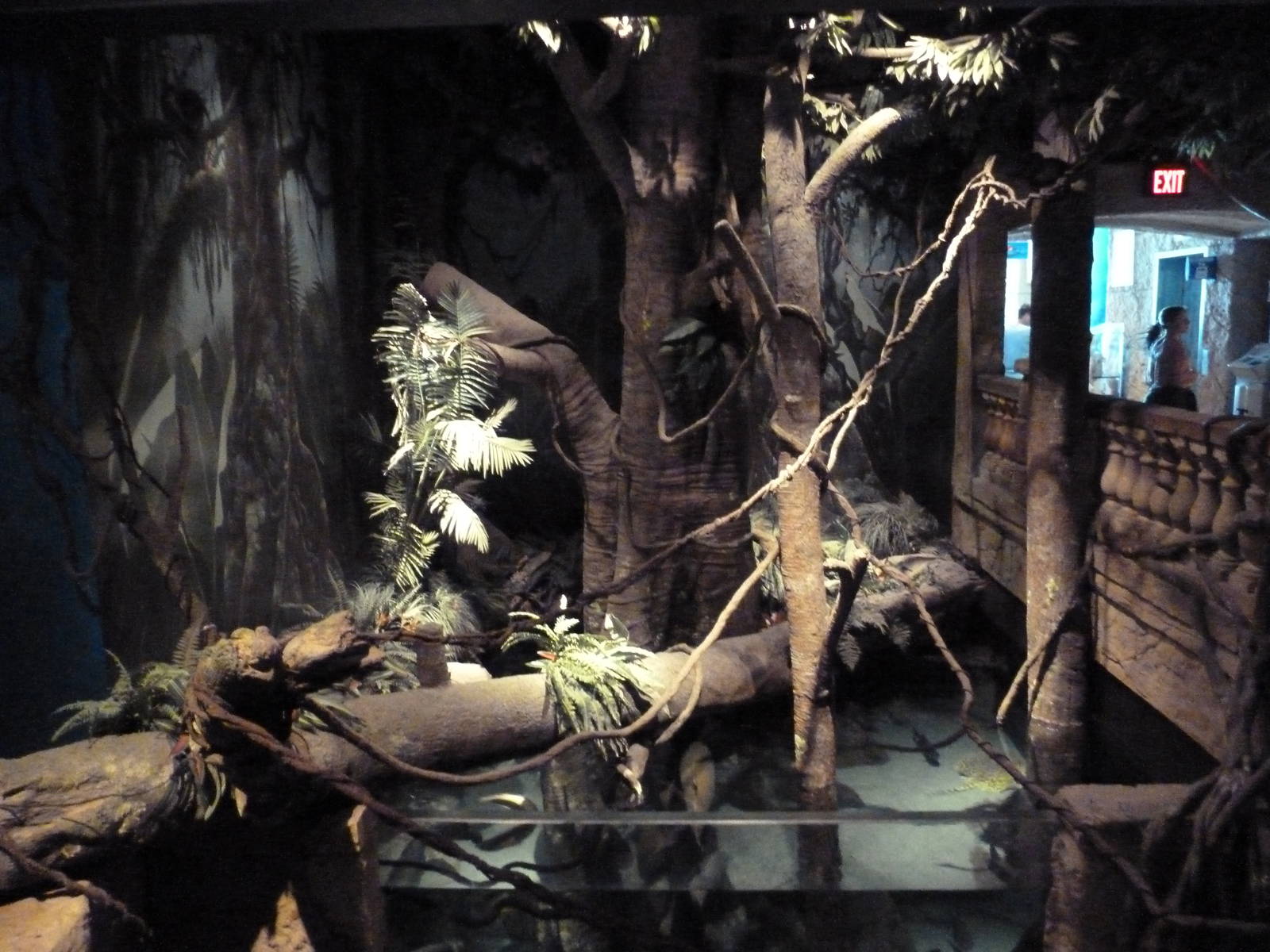 Amazon Exhibit - Upper Level