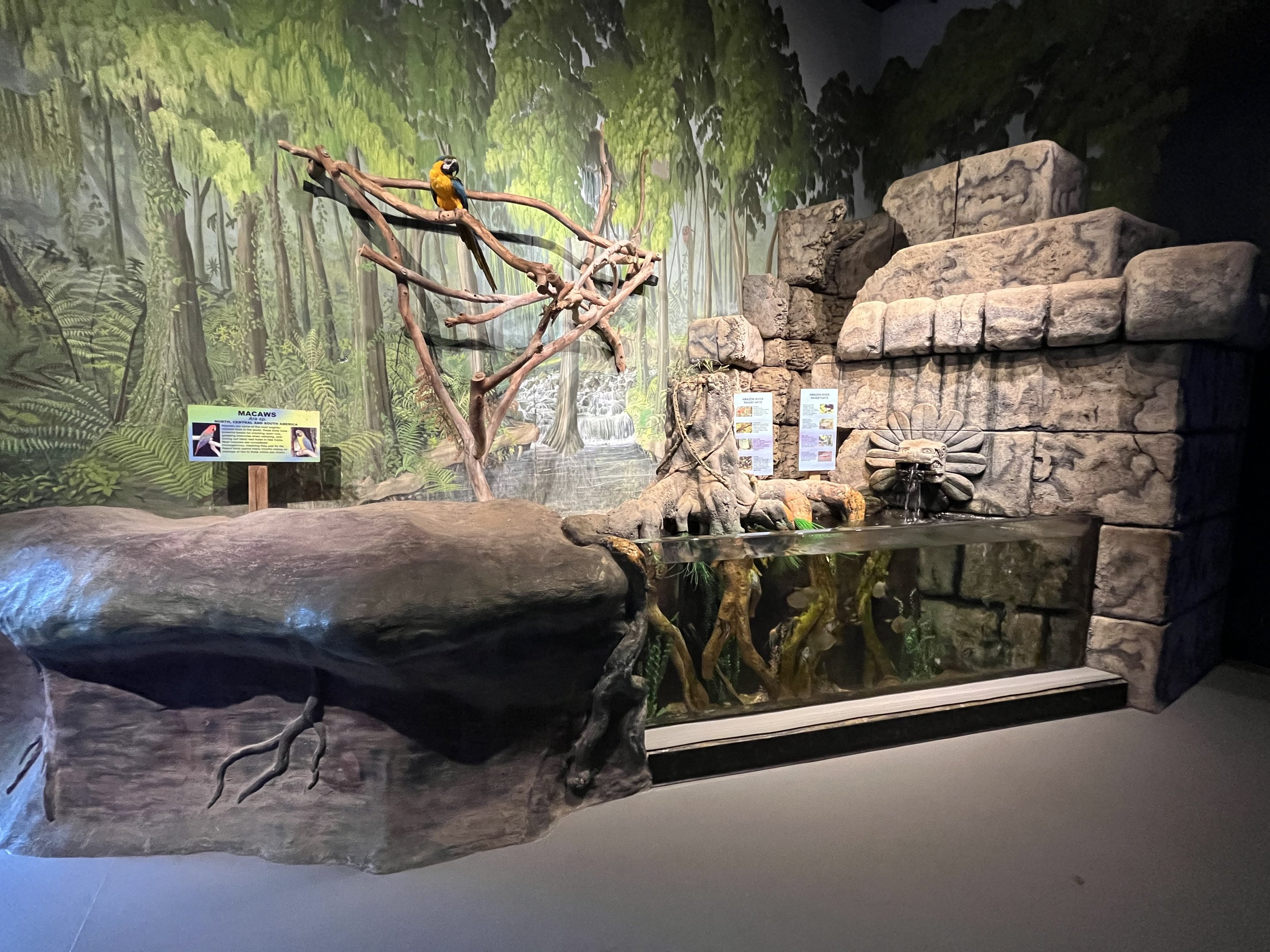 Amazon Exhibit
