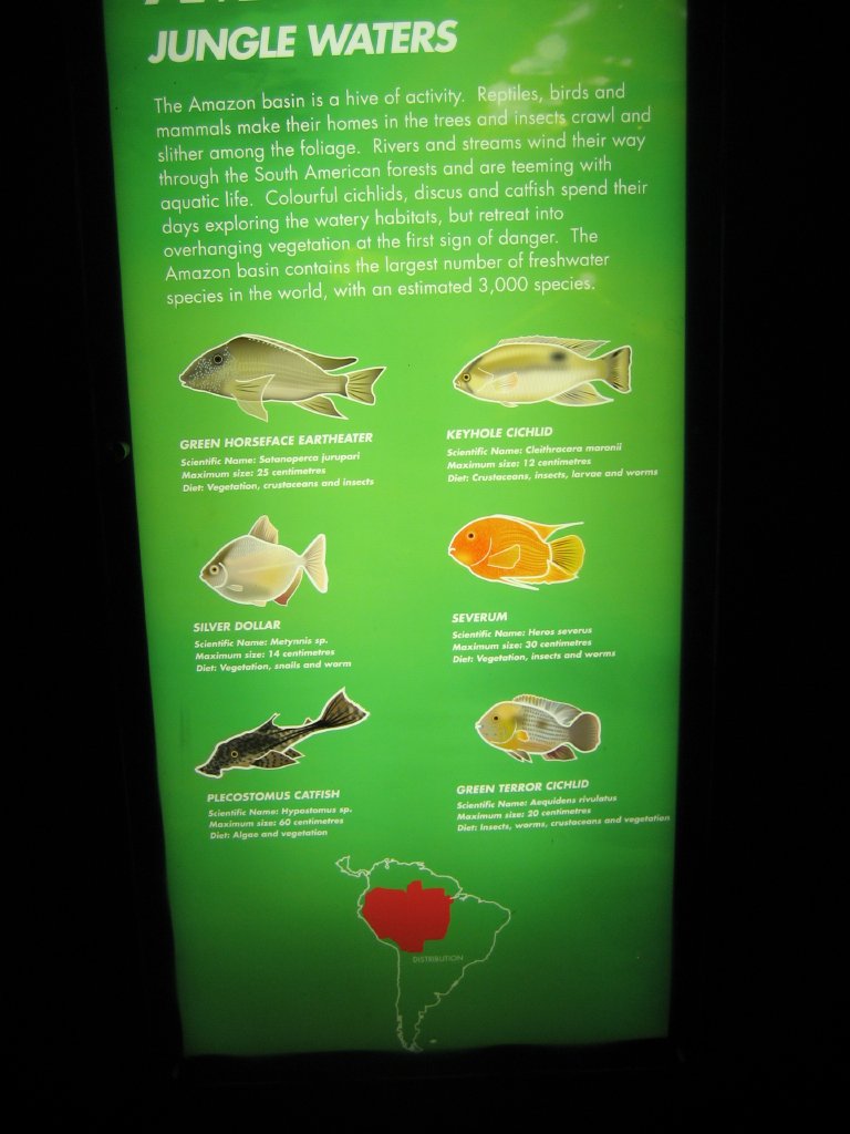 Amazon fish signage