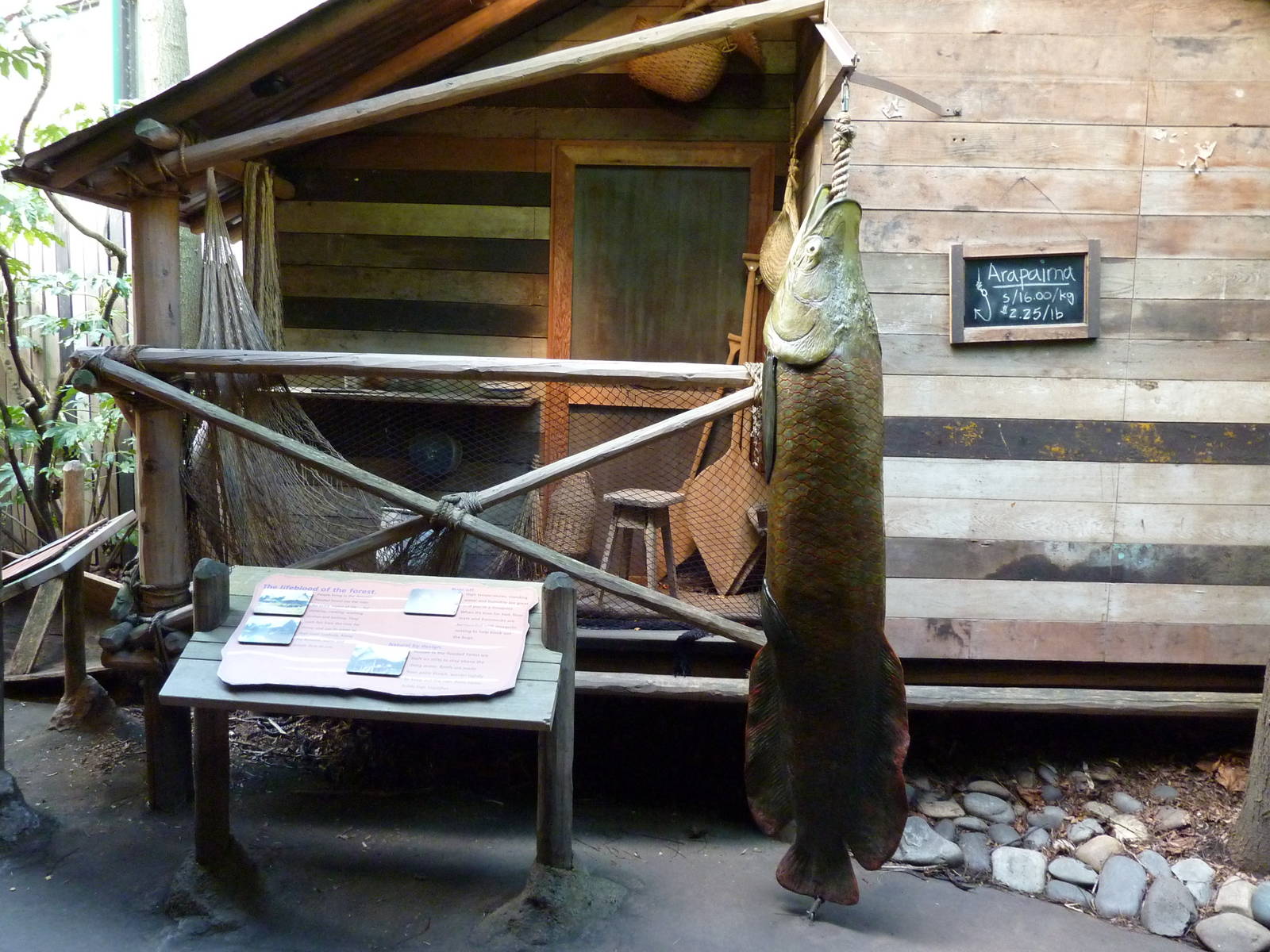 Amazon Flooded Forest - Arapaima Statue