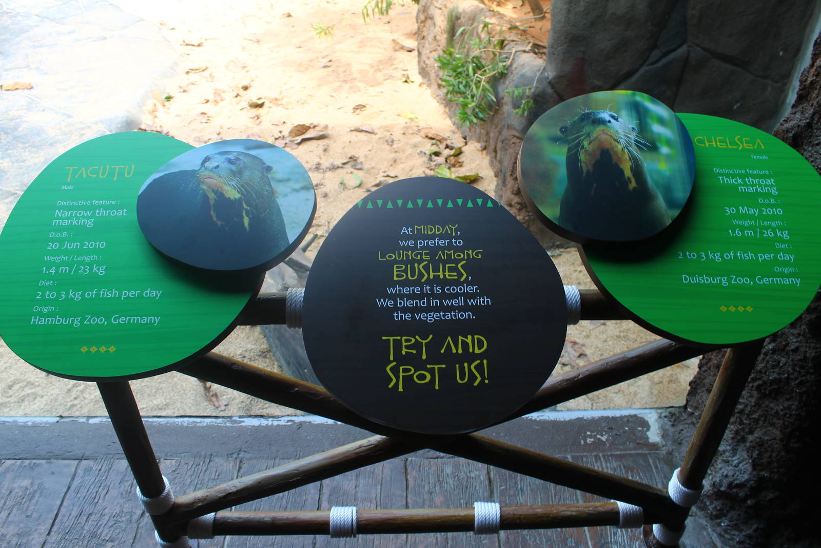 Amazon Flooded Forest - Giant Otter sign