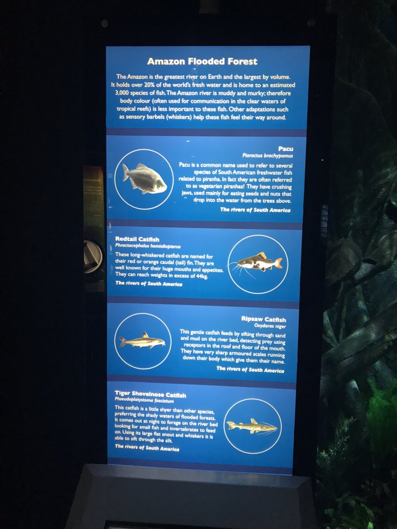 Amazon Flooded Forest - signage 260519