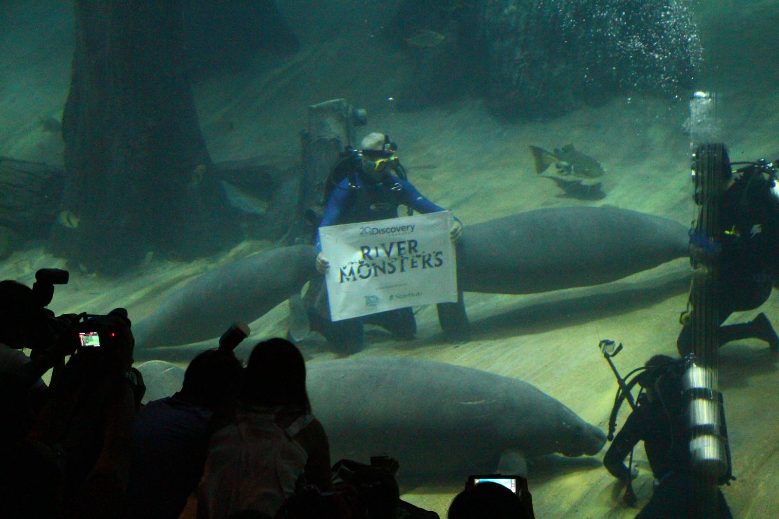 Amazon Flooded Forest