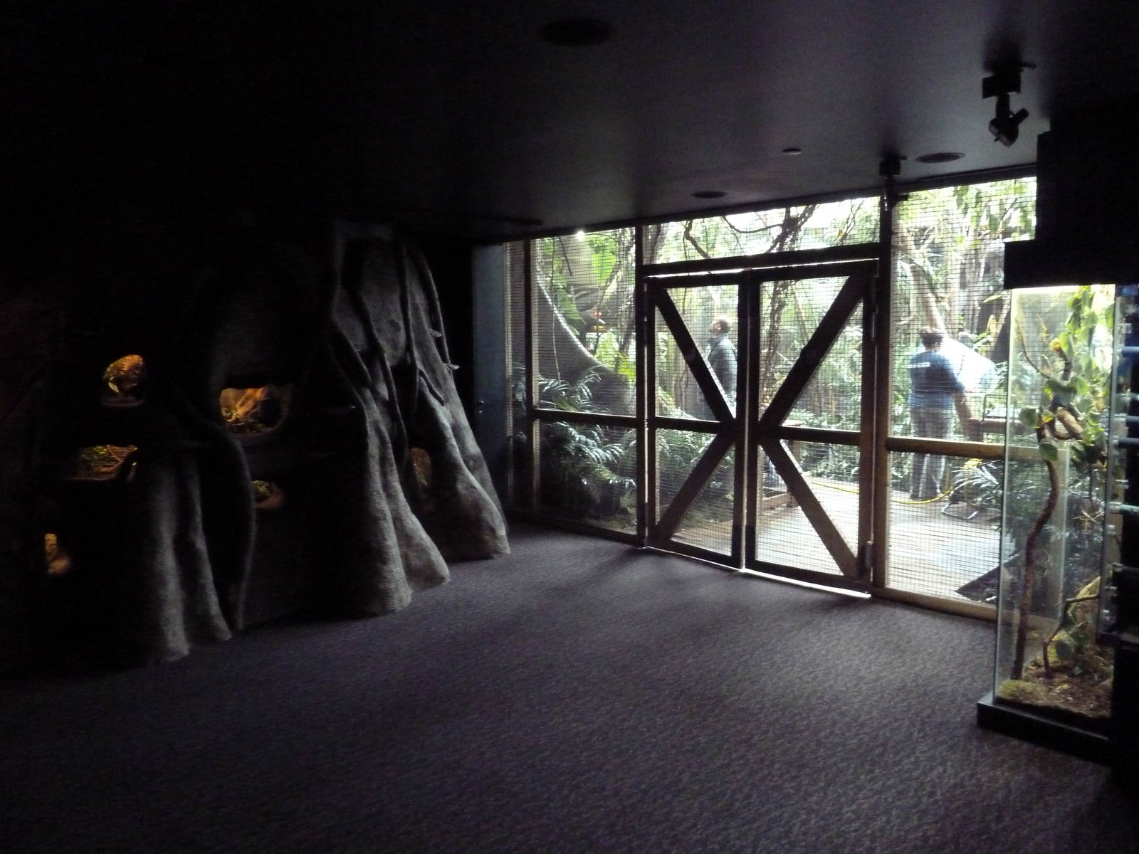 Amazon Gallery - Entrance