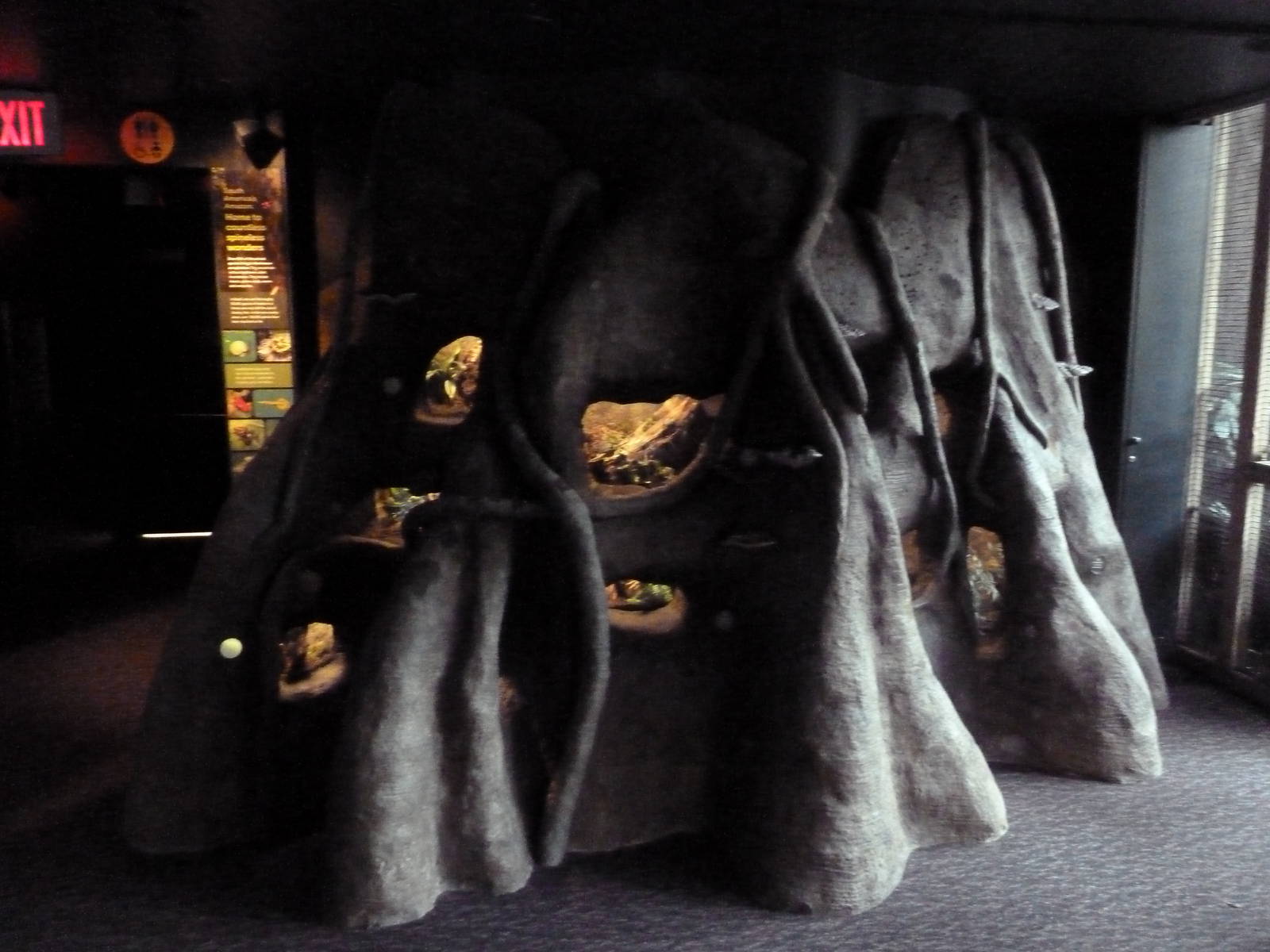 Amazon Gallery - Terrariums (New In 2011)