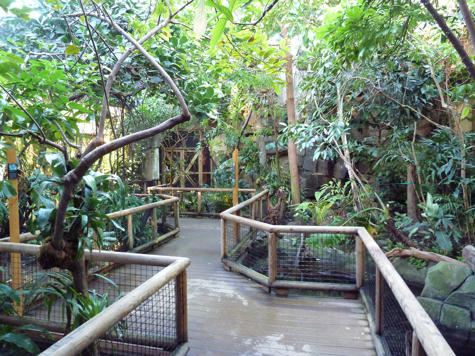 Amazon Gallery - Walk-Through Area