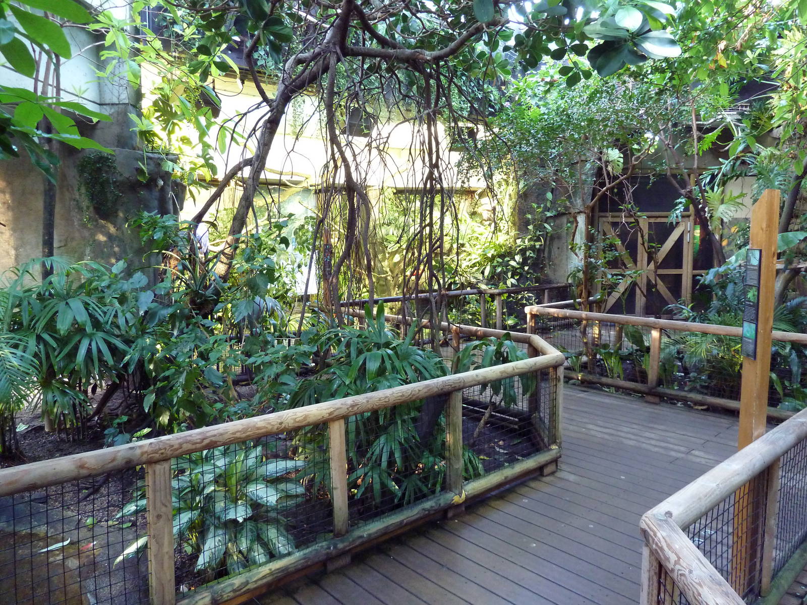 Amazon Gallery - Walk-Through Area