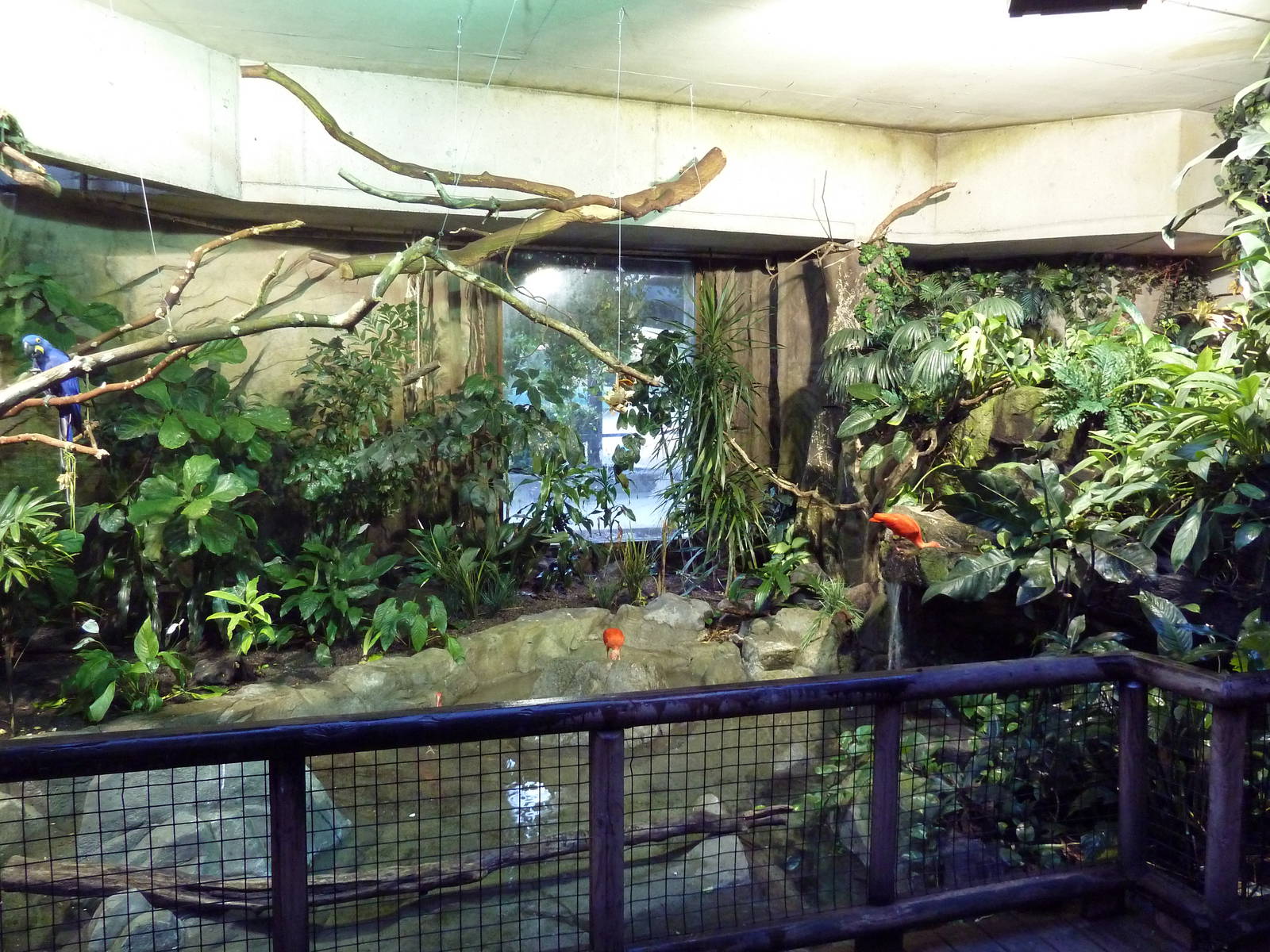 Amazon Gallery - Walk-Through Area