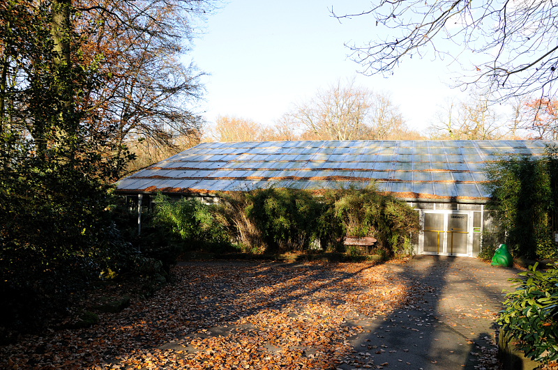 Amazon house at Dortmund