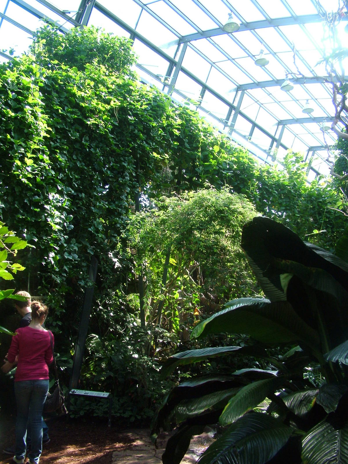 Amazon House Interior at Wilhelma, Stuttgart 02/09/10