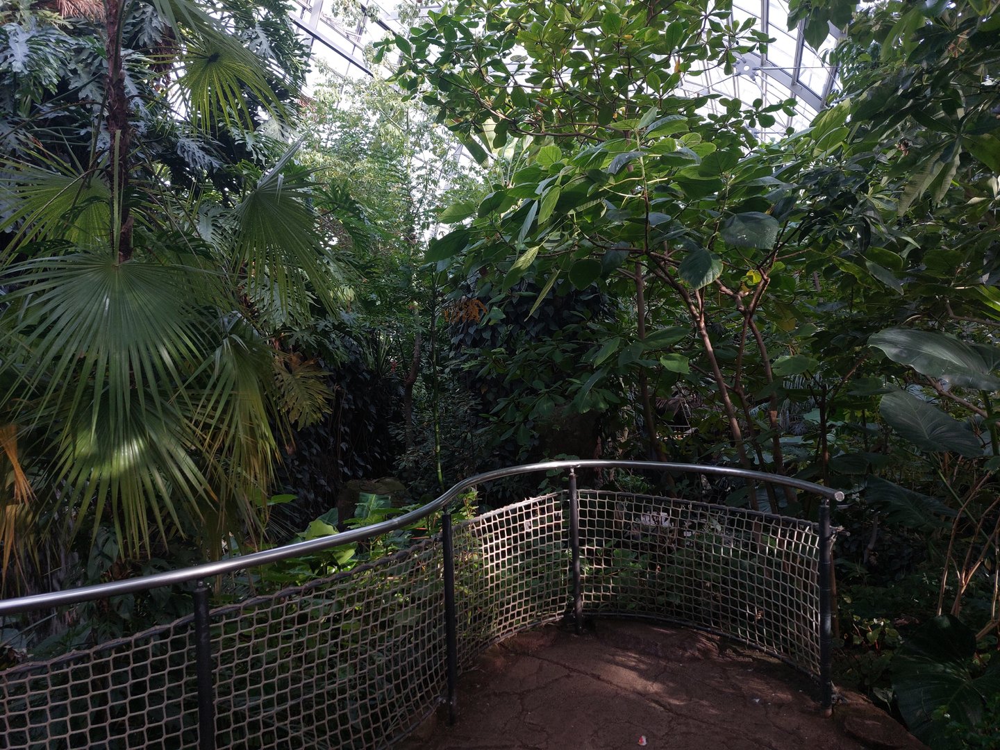 Amazon house - viewpoint