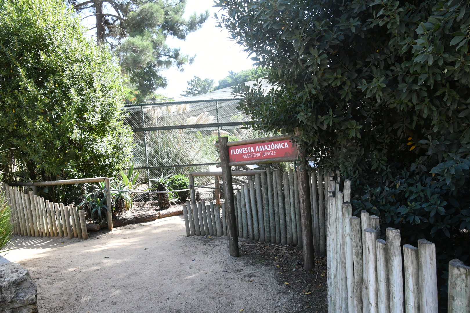 Amazon Jungle Aviary (Blue-and-yellow and Green-winged Macaws, Greater Curassows, Guineapigs)