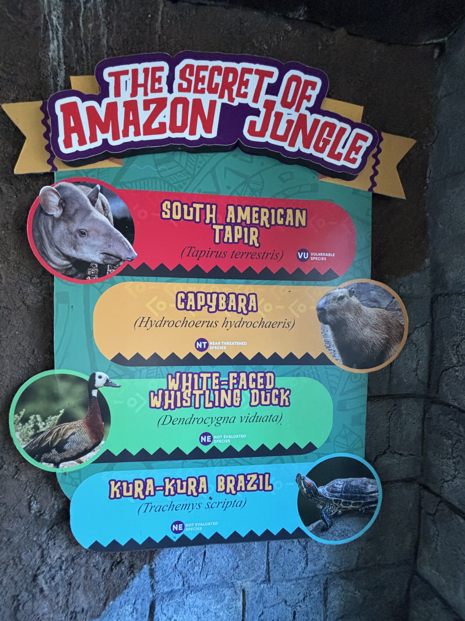 Amazon Jungle Exhibit Sign