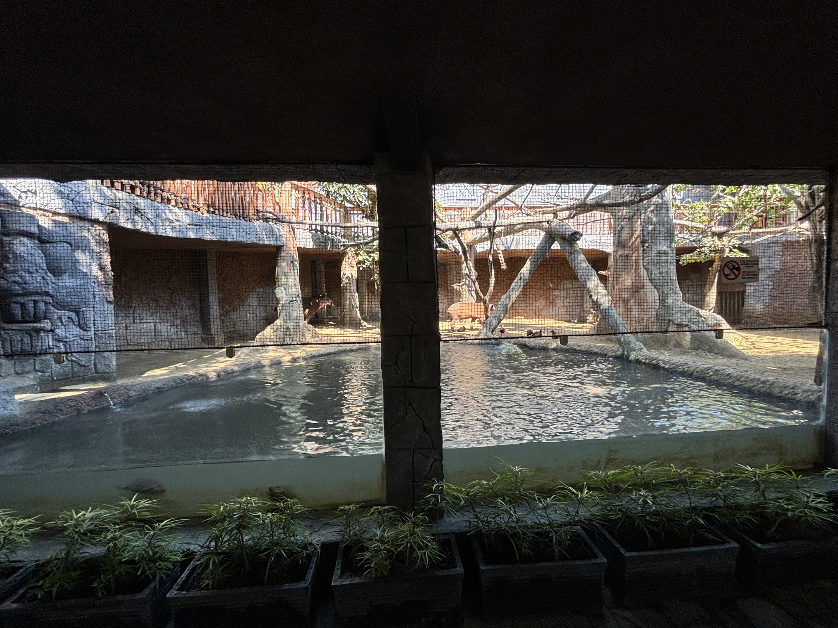 Amazon Jungle Exhibit