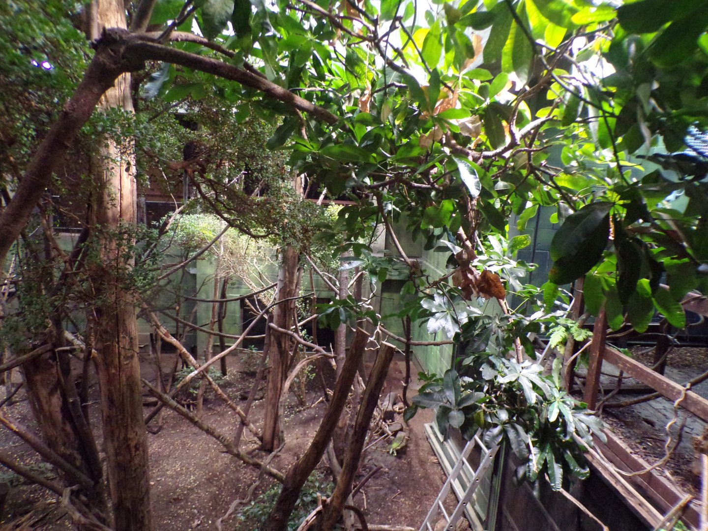 Amazon mixed enclosure 11.2.25