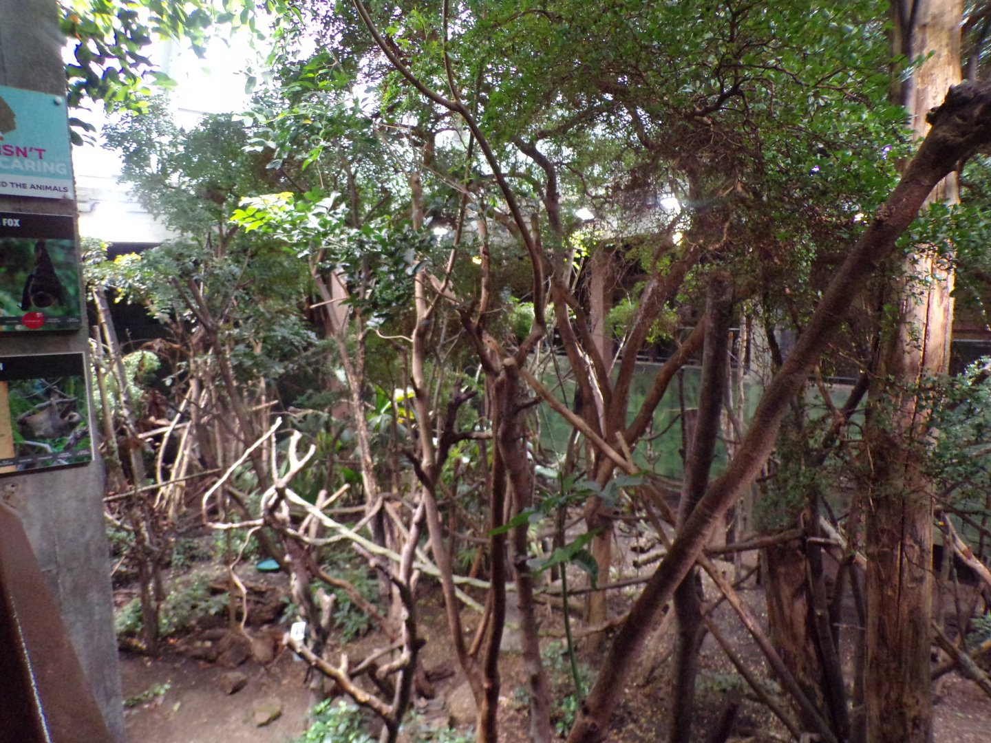 Amazon mixed enclosure 11.2.25