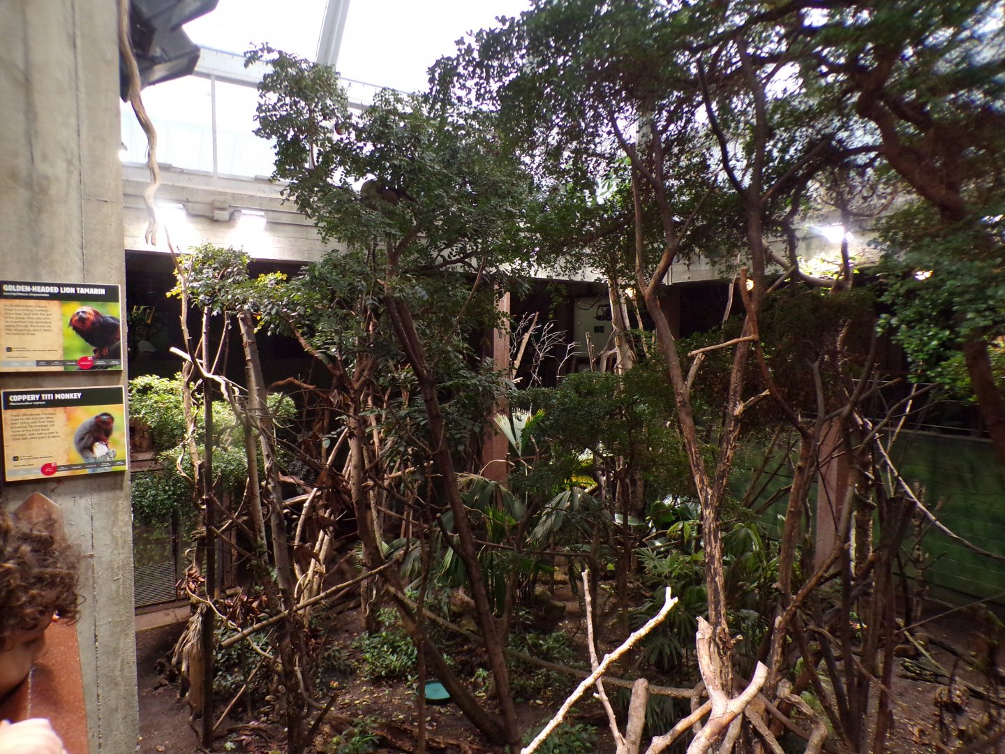 Amazon mixed enclosure 11.2.25