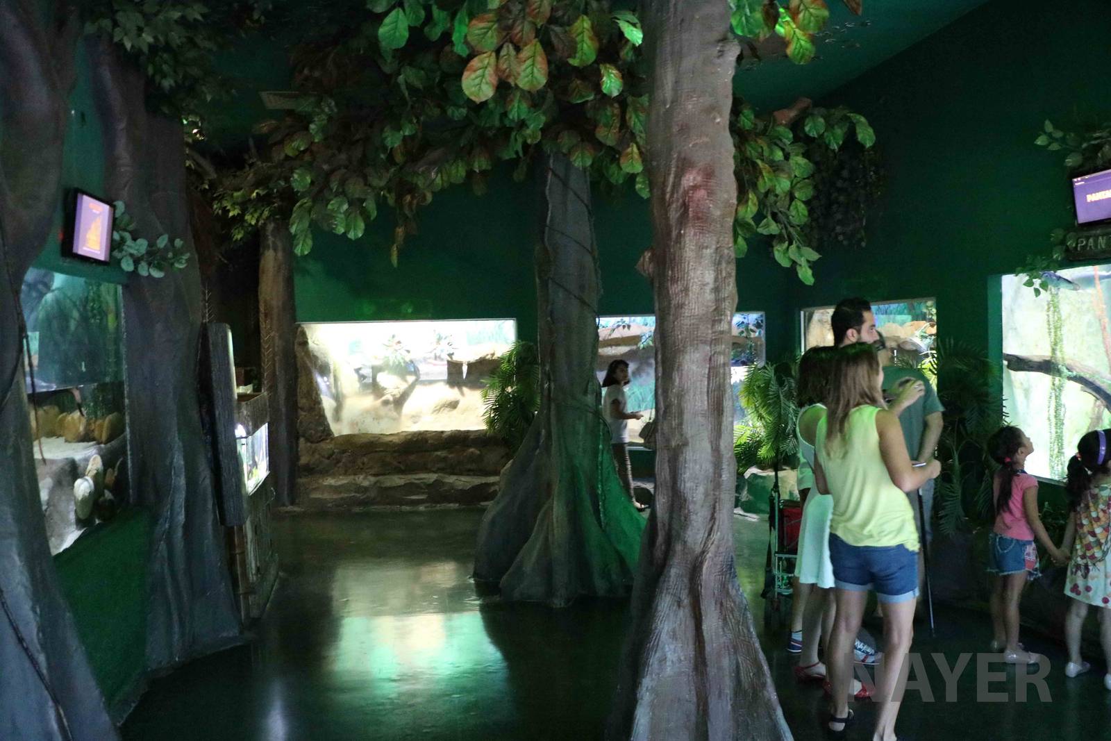 Amazon/pantanal exhibits, April 2016