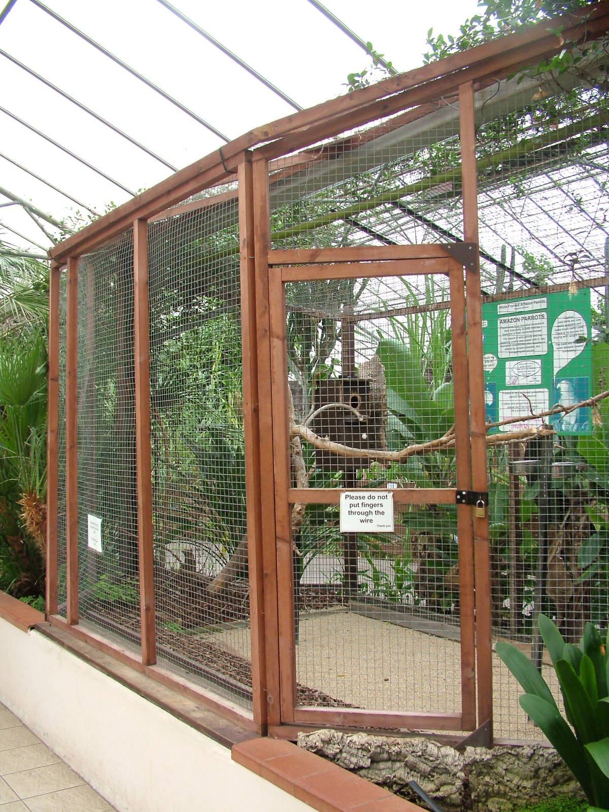Amazon Parrot Aviary at the Palms: Final Visit, 08/08/10