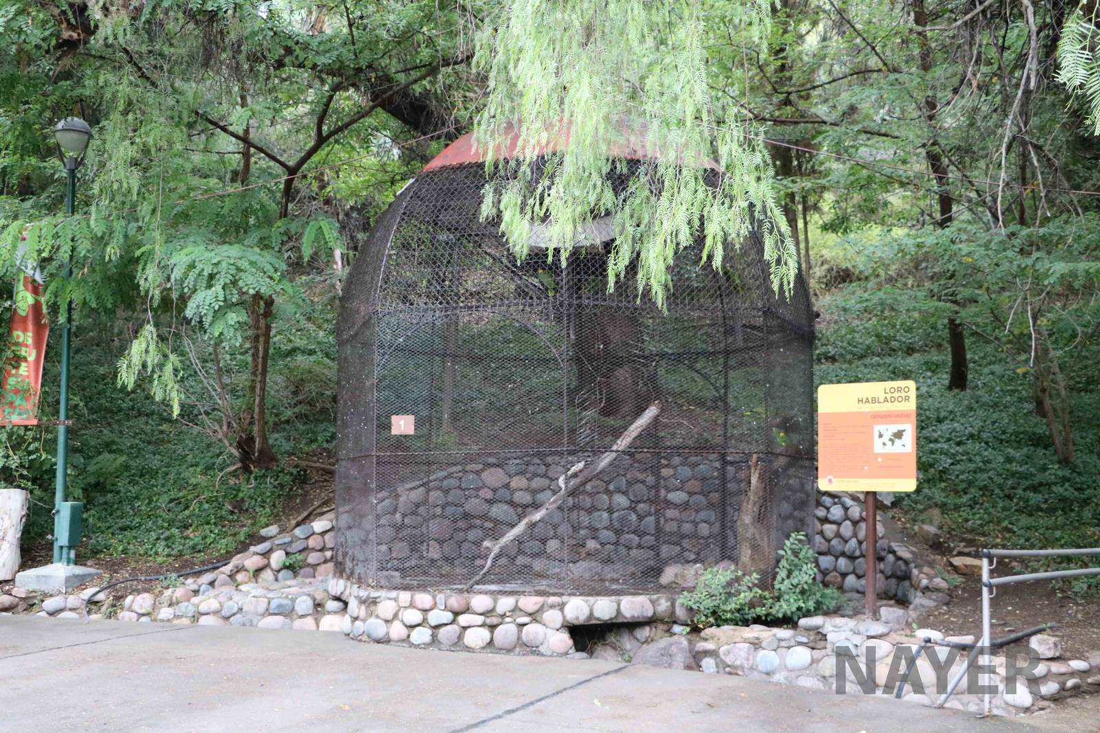 Amazon parrot aviary - Mendoza Zoo, April 2016