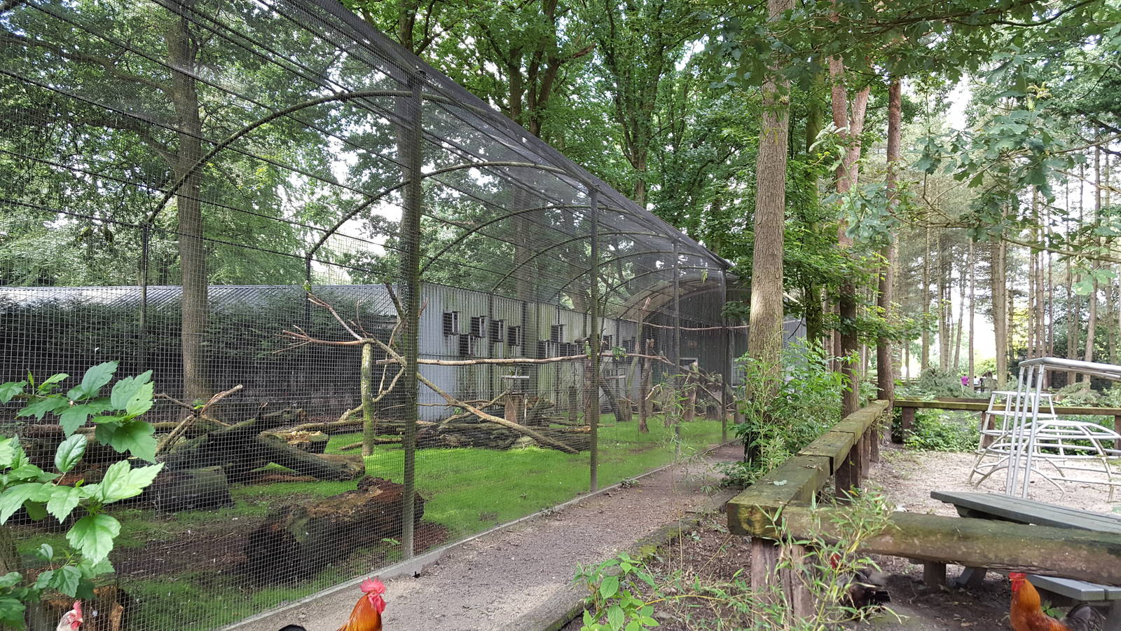 amazon parrot aviary