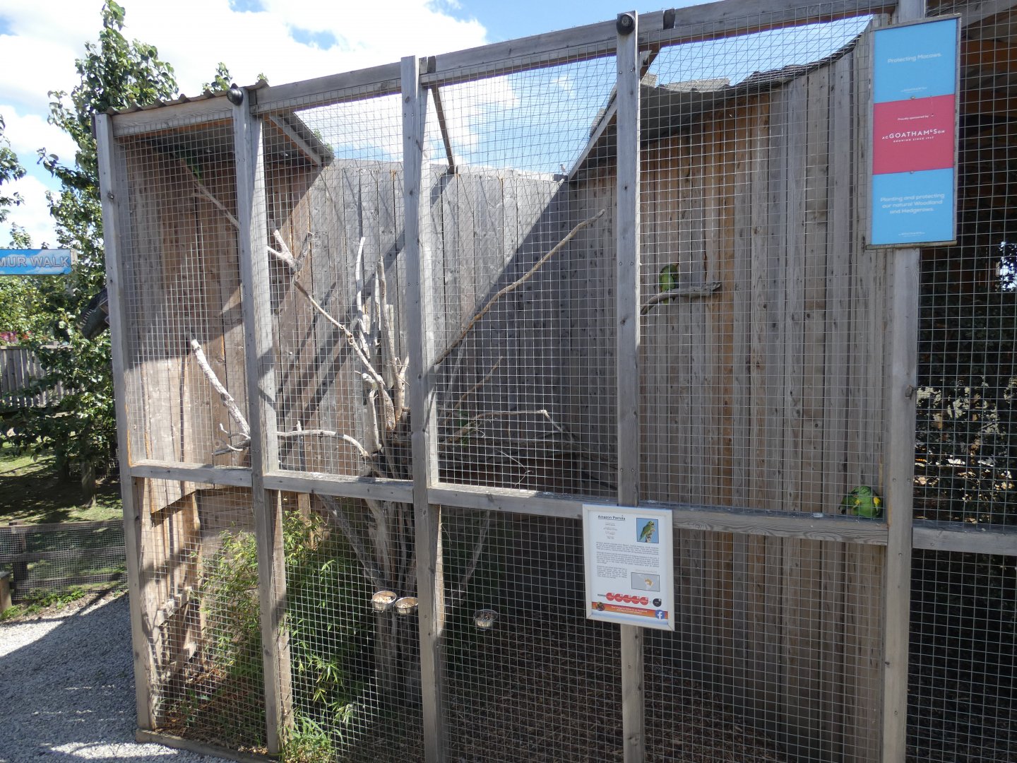 Amazon parrot aviary