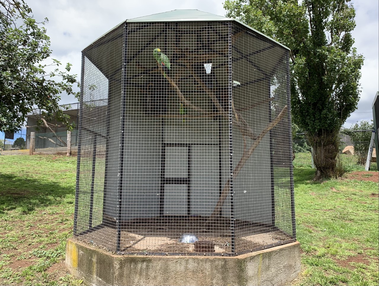 Amazon Parrot Aviary