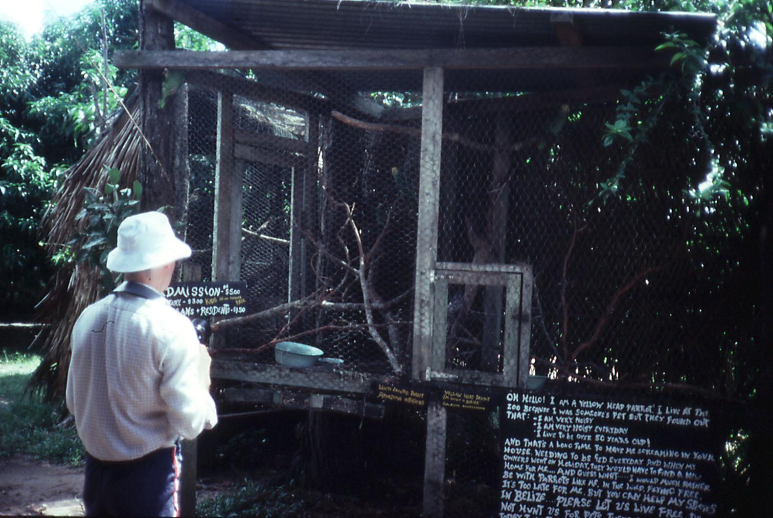 Amazon Parrot Cage - 1988