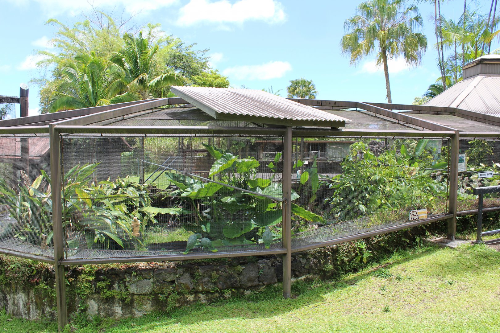 Amazon Parrot Exhibit
