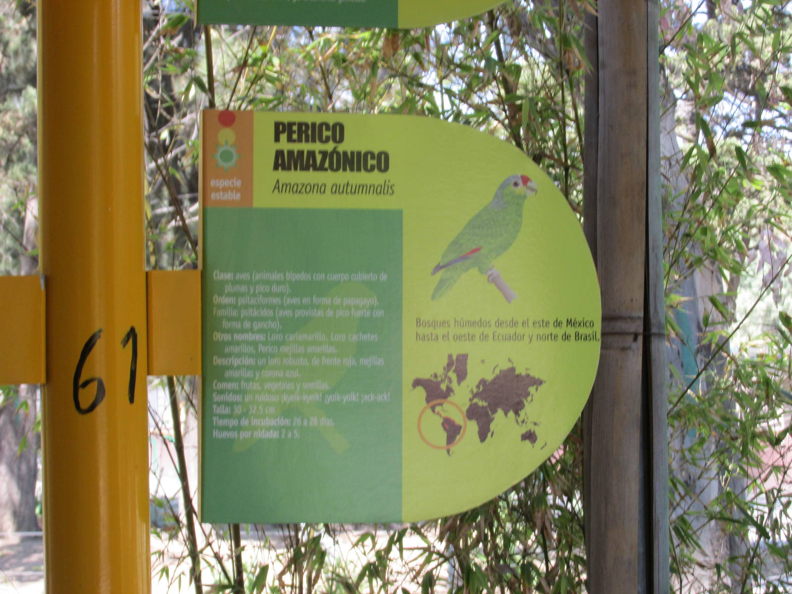 amazon parrot sign san juan d e aragon zoo