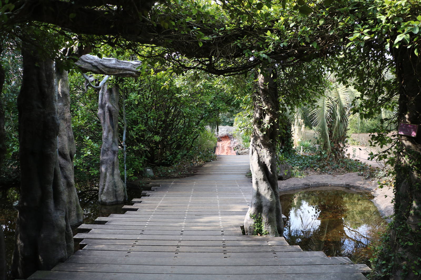 Amazon path, February 2016