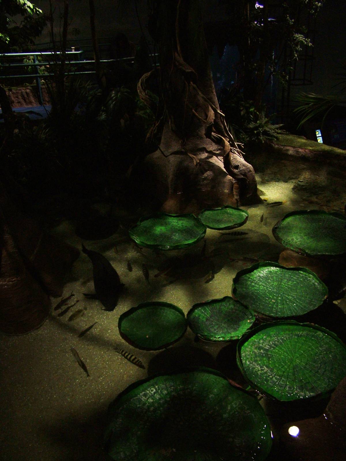 Amazon pool at SeaLife Birmingham 28/02/10