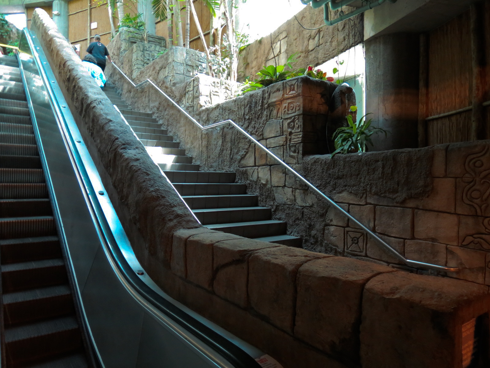 Amazon Rainforest - Entrance Stairs and Escalator