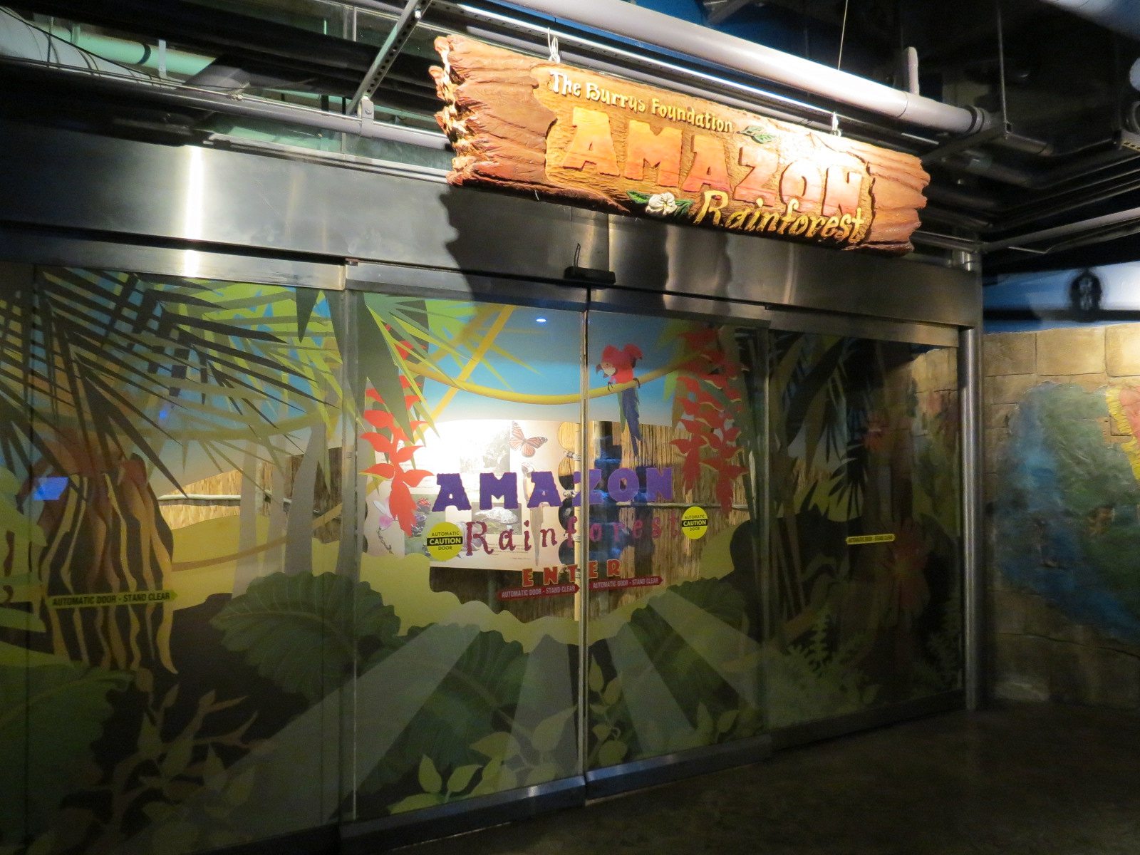 Amazon Rainforest - Entrance