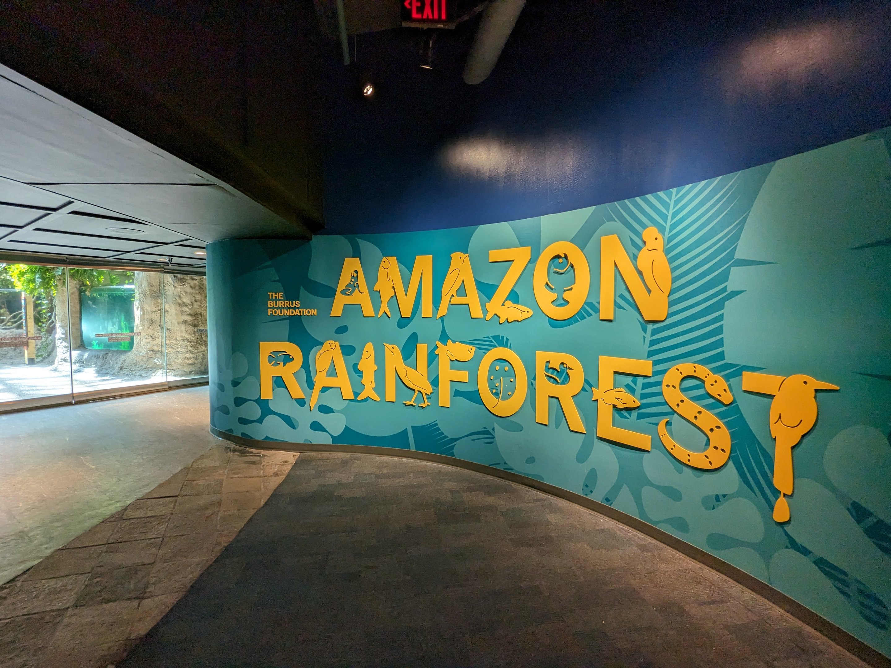Amazon Rainforest - entrance