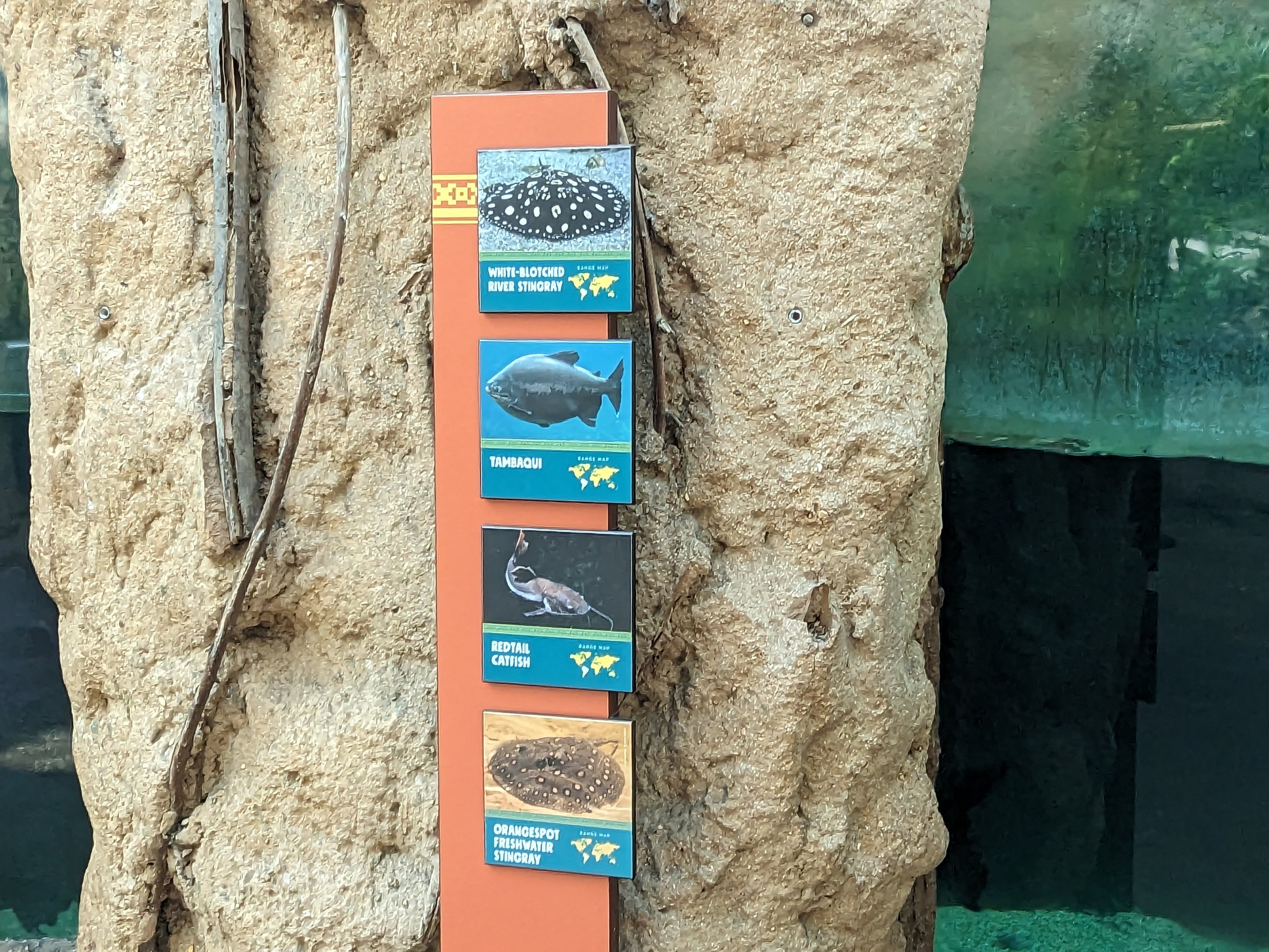 Amazon Rainforest - signage