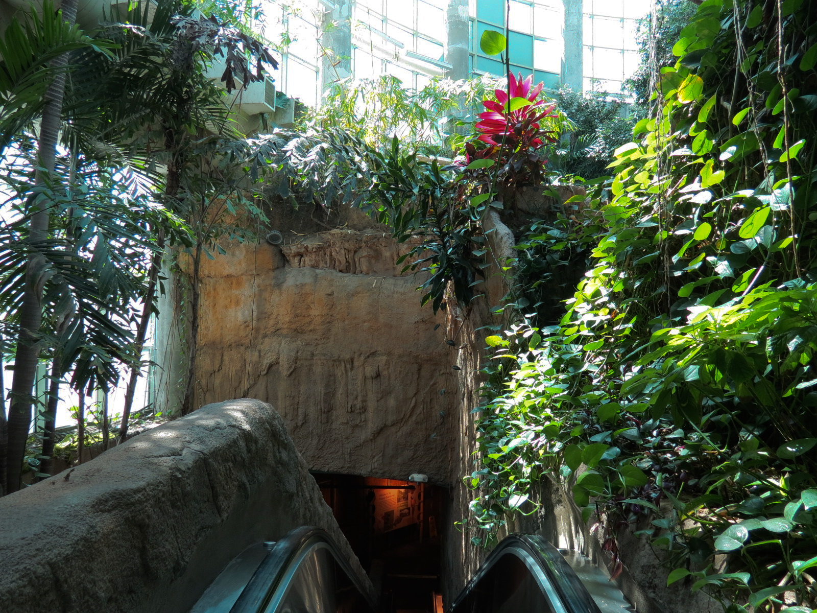 Amazon Rainforest - Top of Entrance Stairs and Escalator