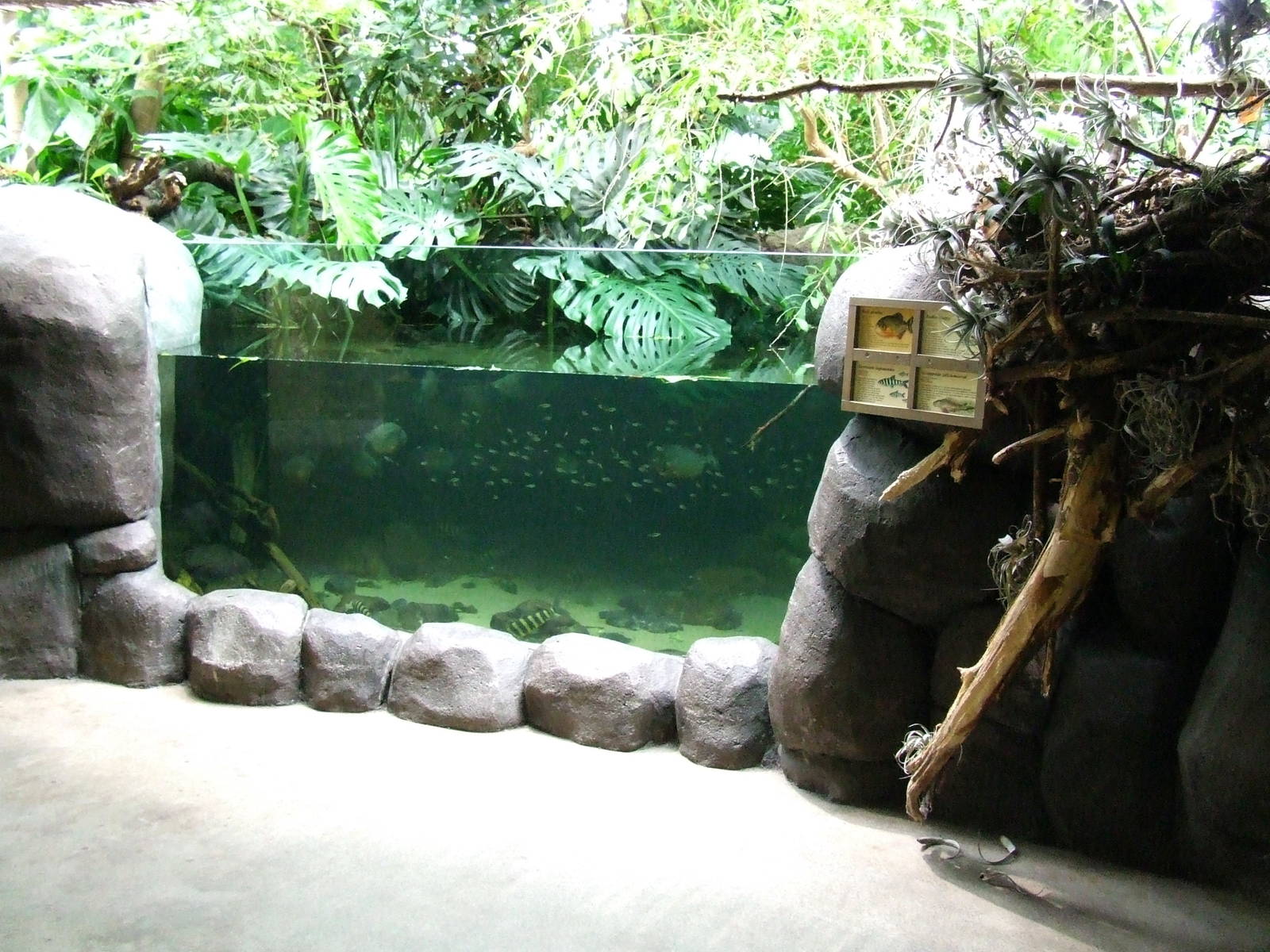 Amazon-region, Oceanium