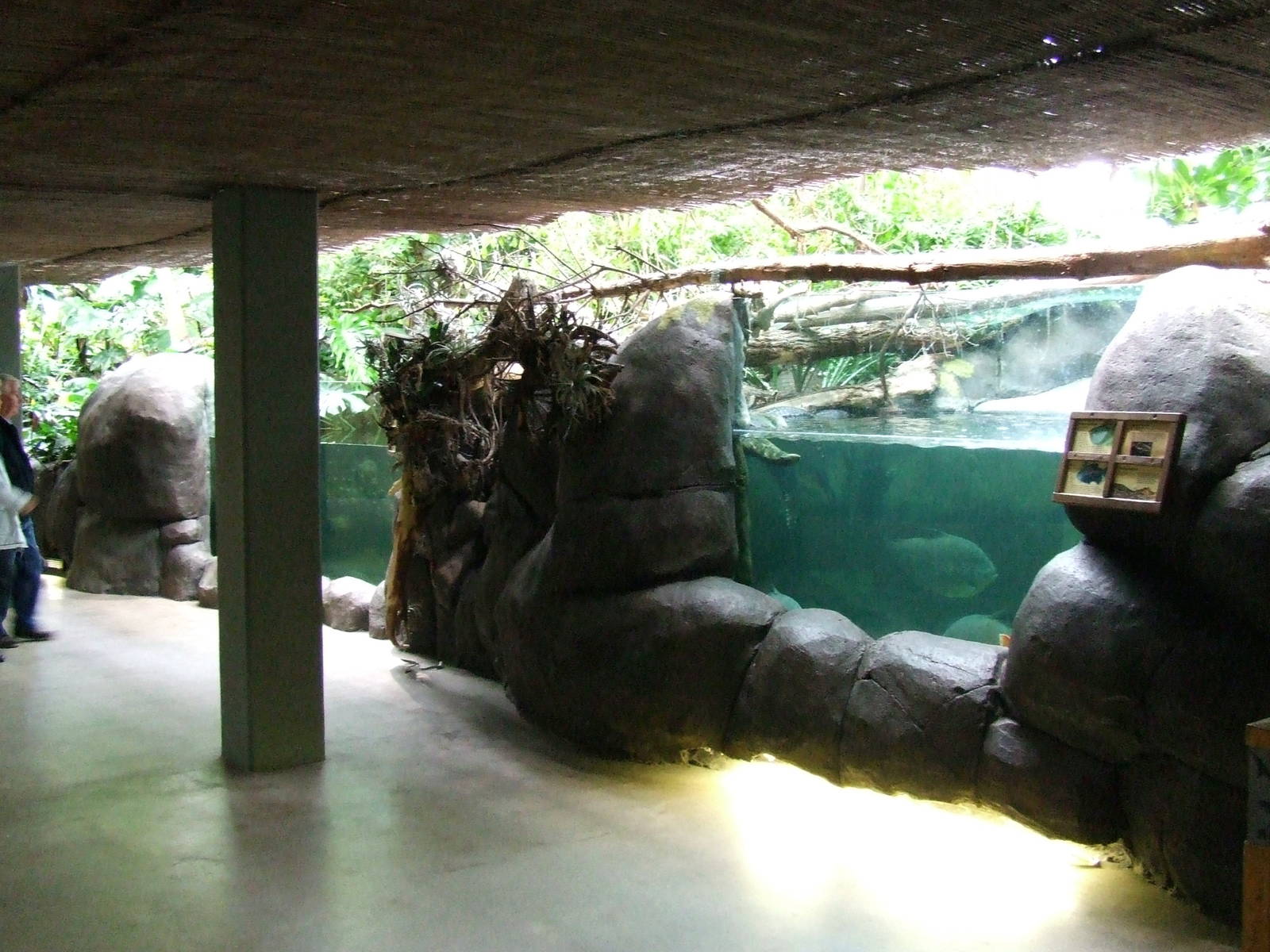 Amazon-region, Oceanium