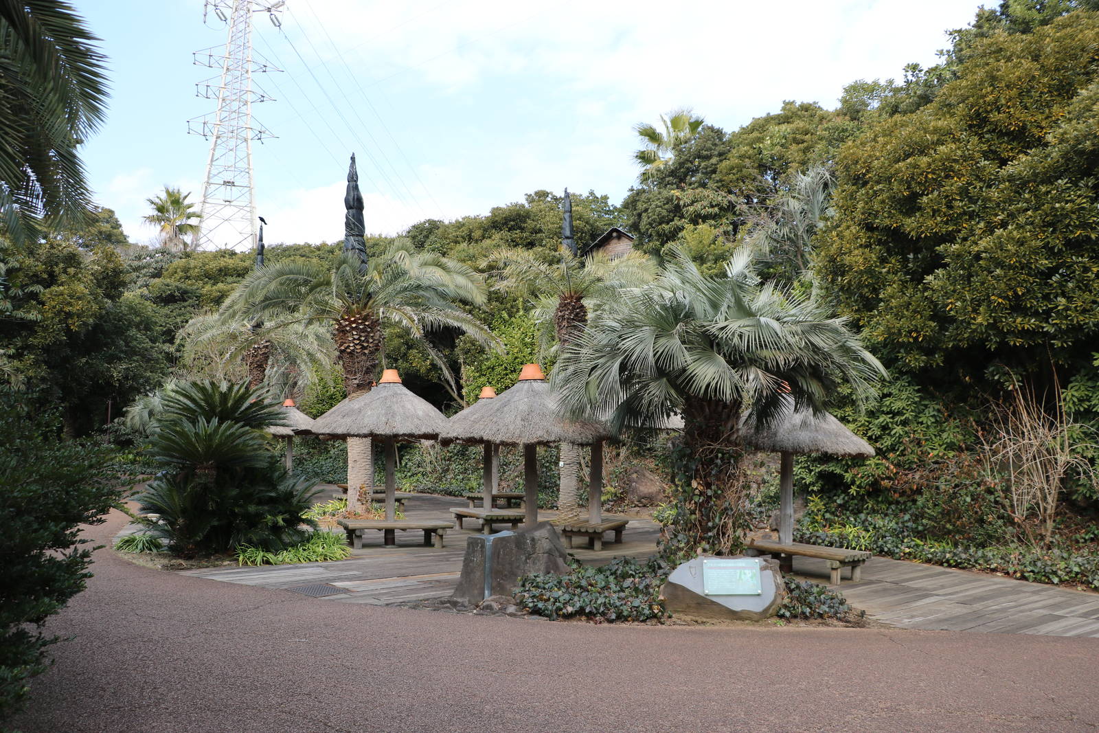 Amazon rest area, February 2016