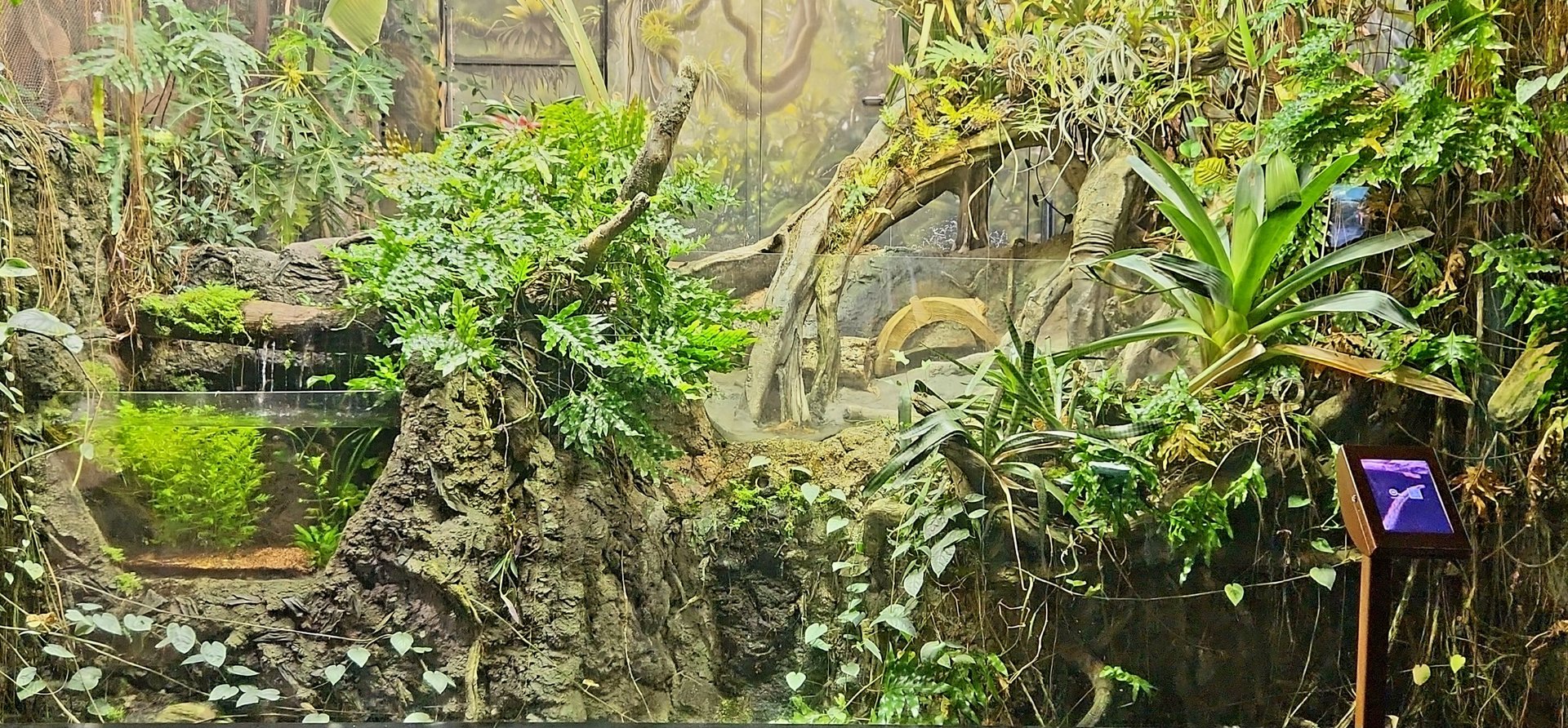 Amazon Rising: Dry Forest