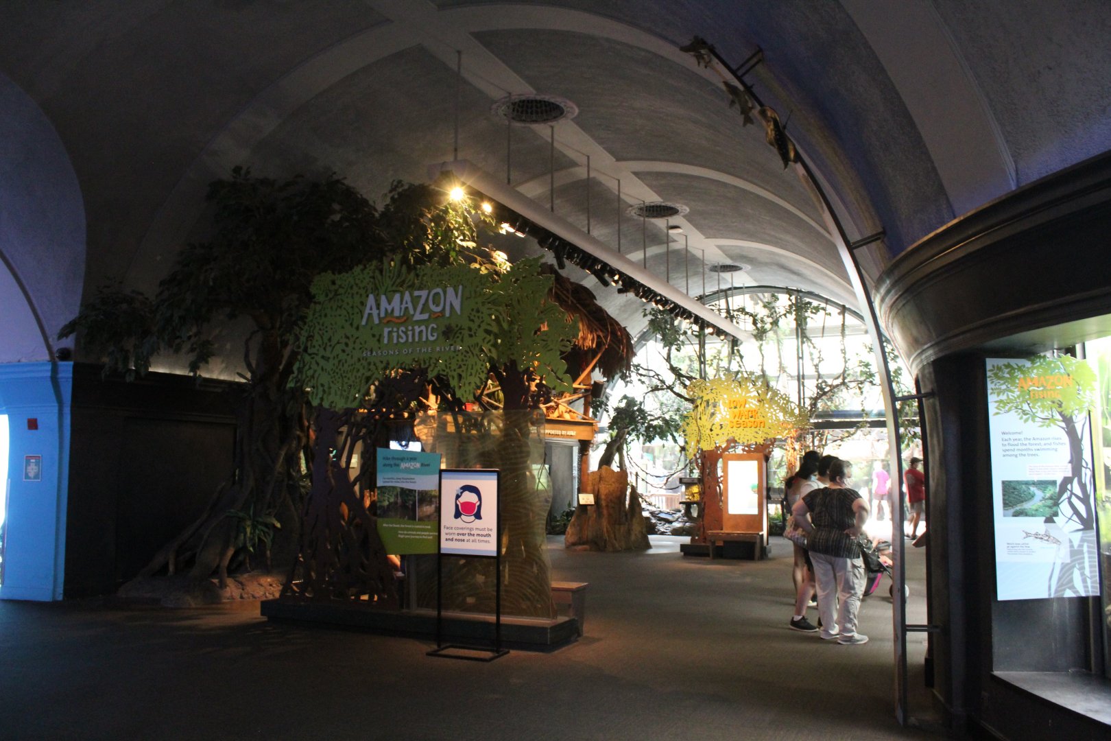 Amazon Rising - Entrance