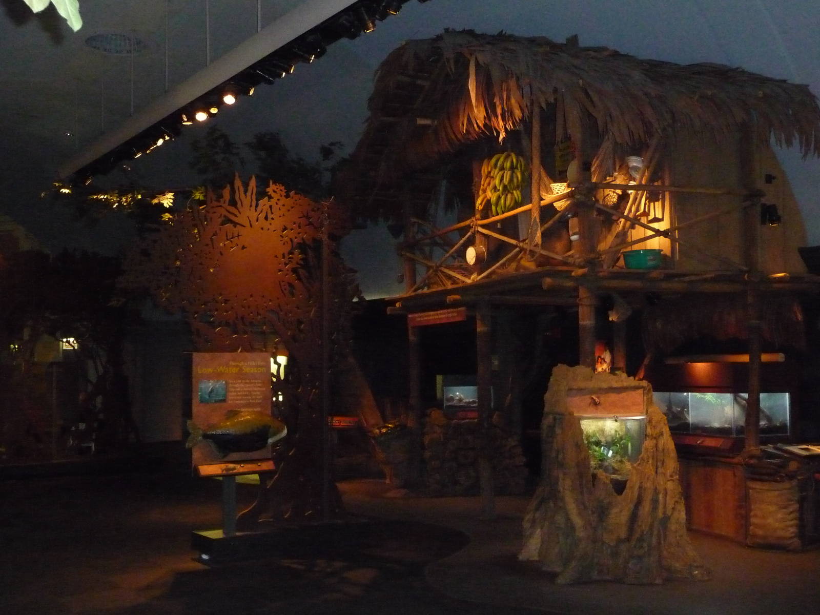 Amazon Rising Exhibit