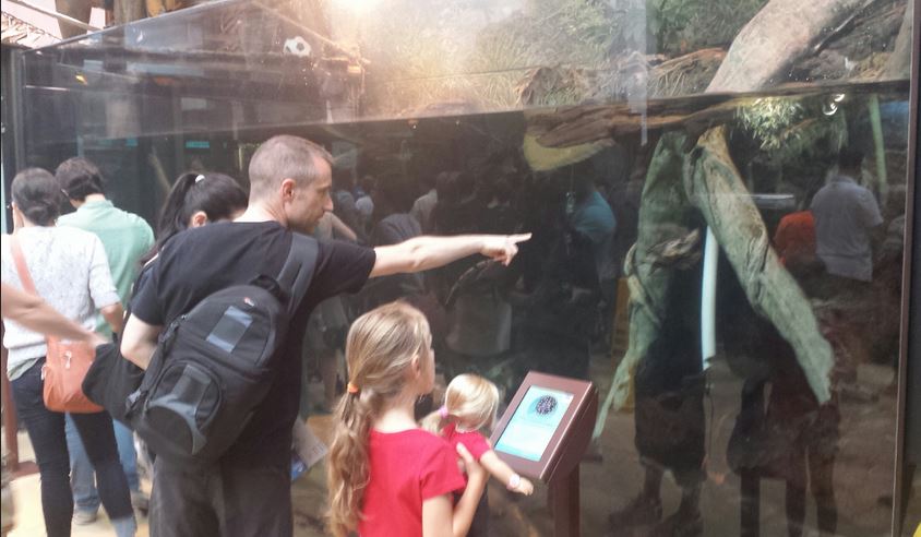 Amazon Rising Exhibit