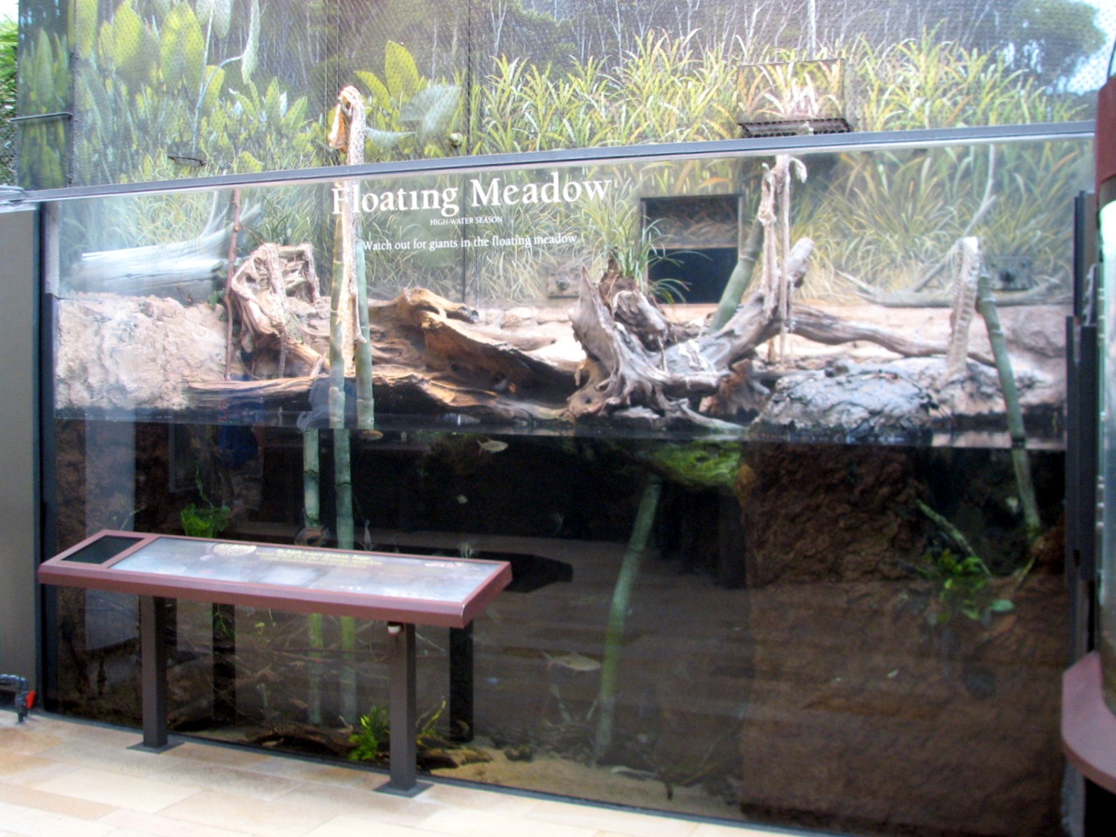 Amazon Rising - Floating Meadows Anaconda Exhibit