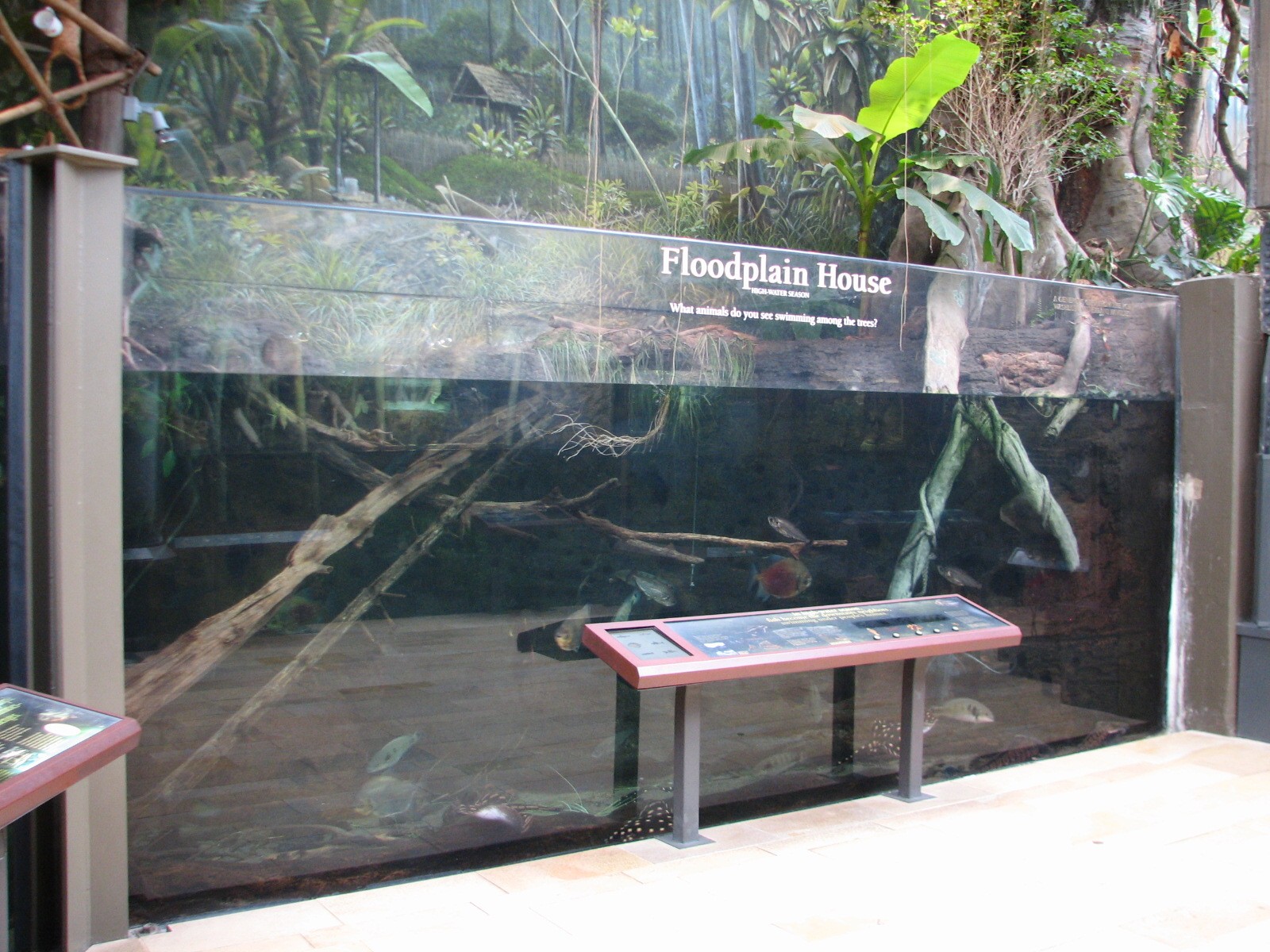 Amazon Rising - Floodplain House Exhibit