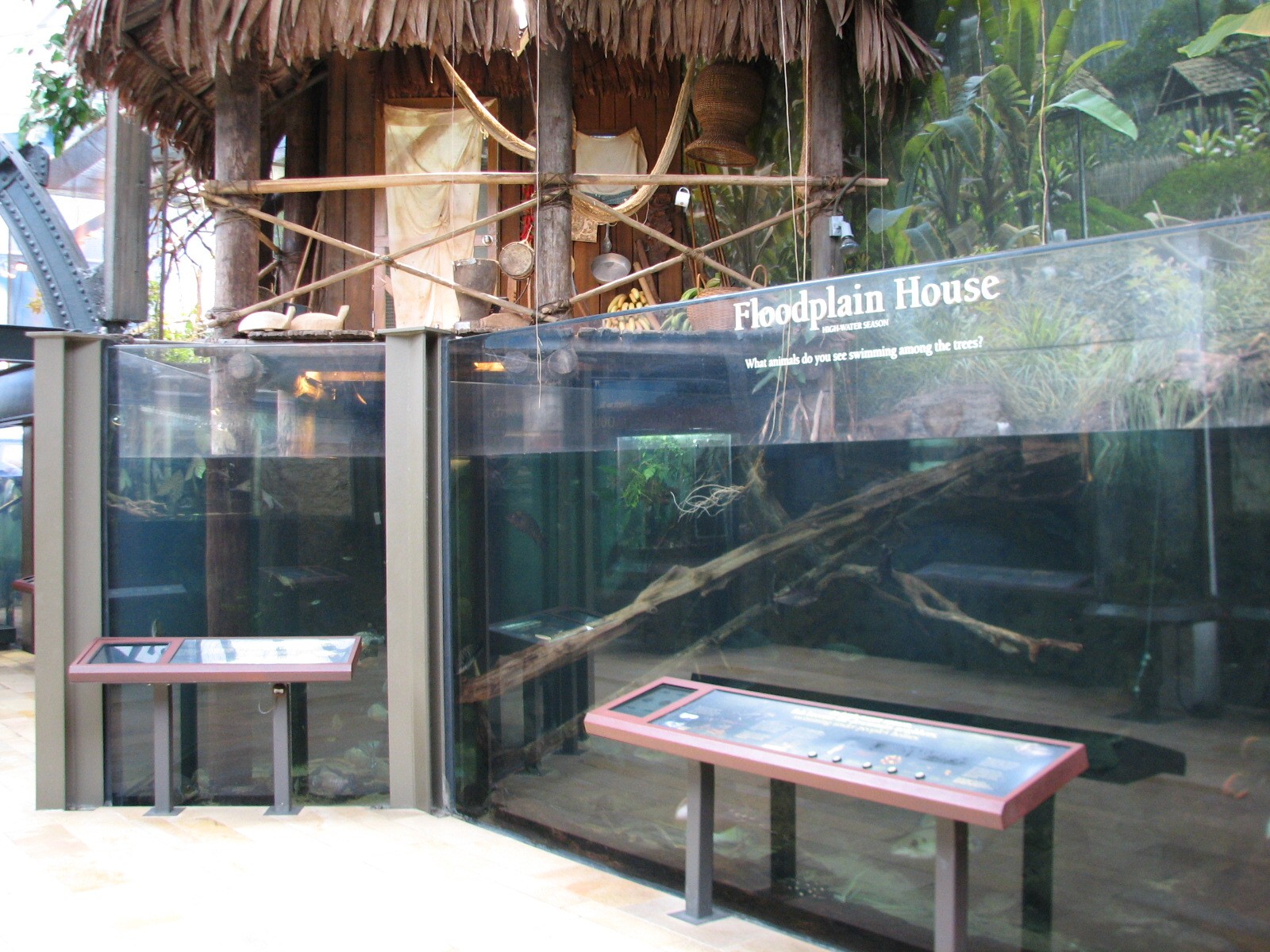 Amazon Rising - Floodplain House Exhibit