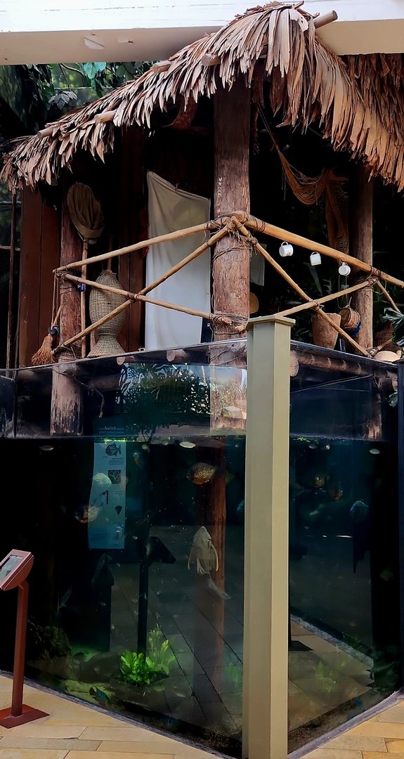 Amazon Rising: Floodplain House (Left)