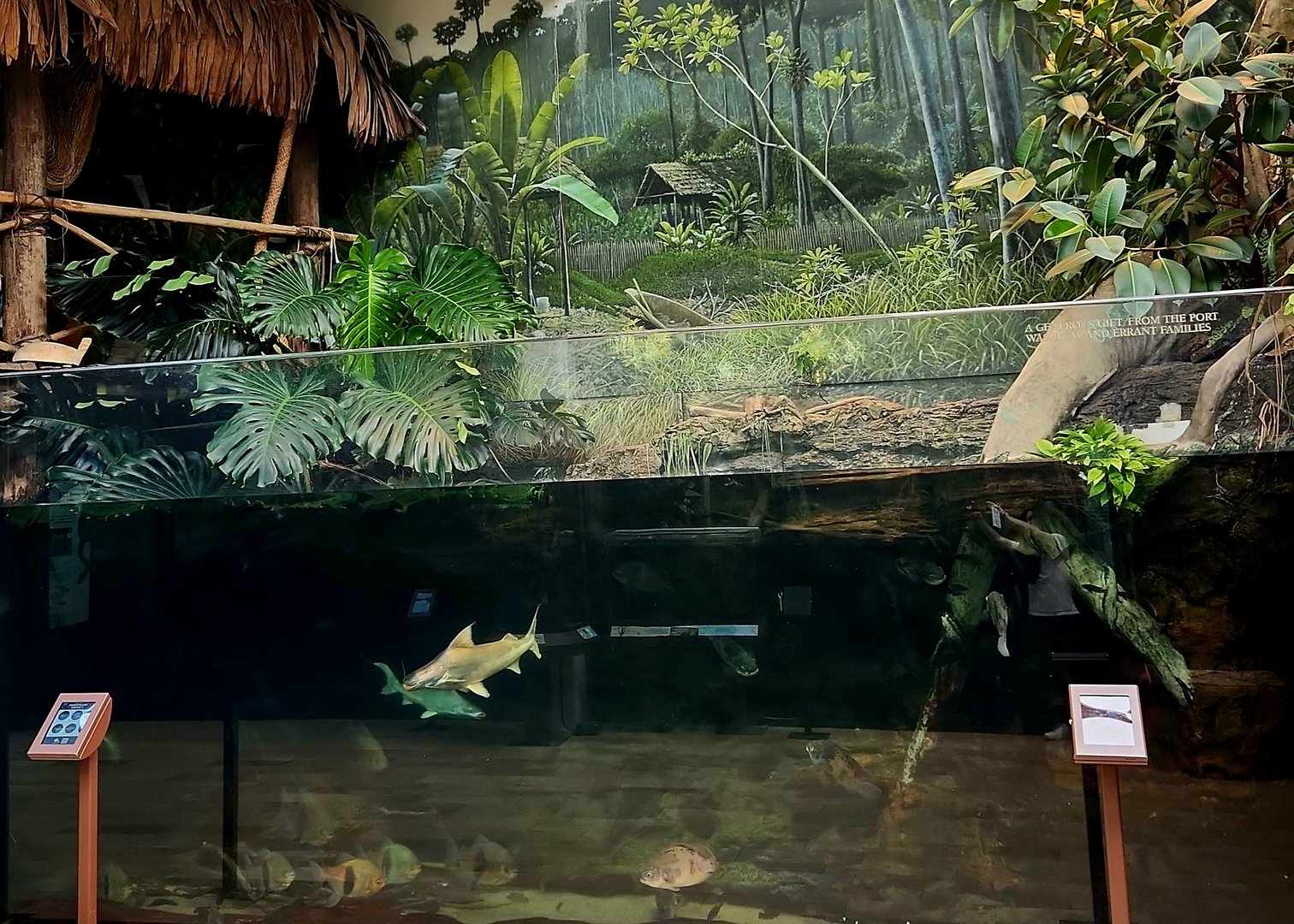 Amazon Rising: Floodplain House (Right)