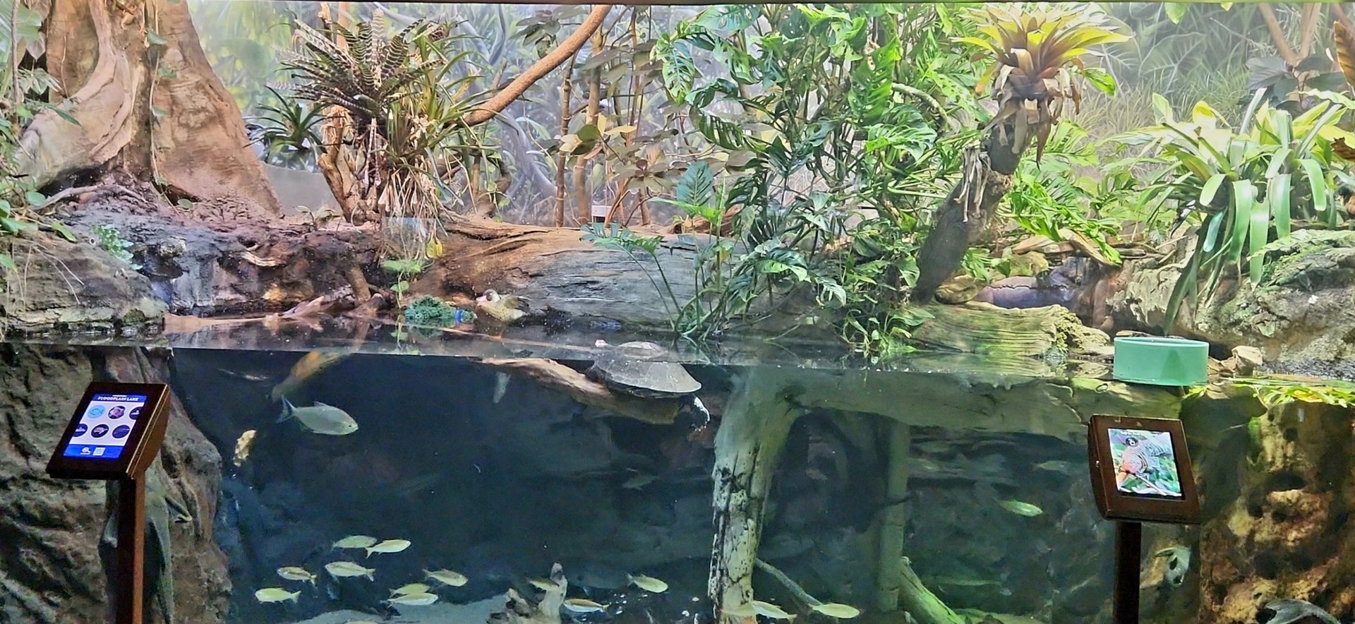 Amazon Rising: Floodplain Lake